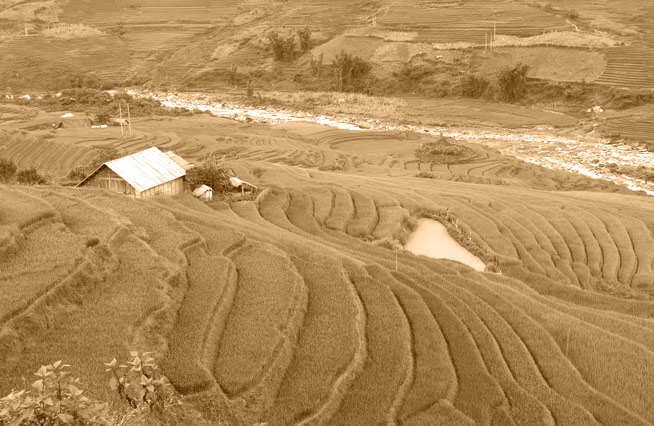 Rizières en terrasses et système d'irrigation ancestral - Vietnam